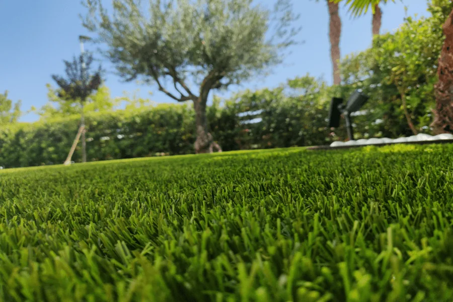 Instalación en Denia con Pacifico 40